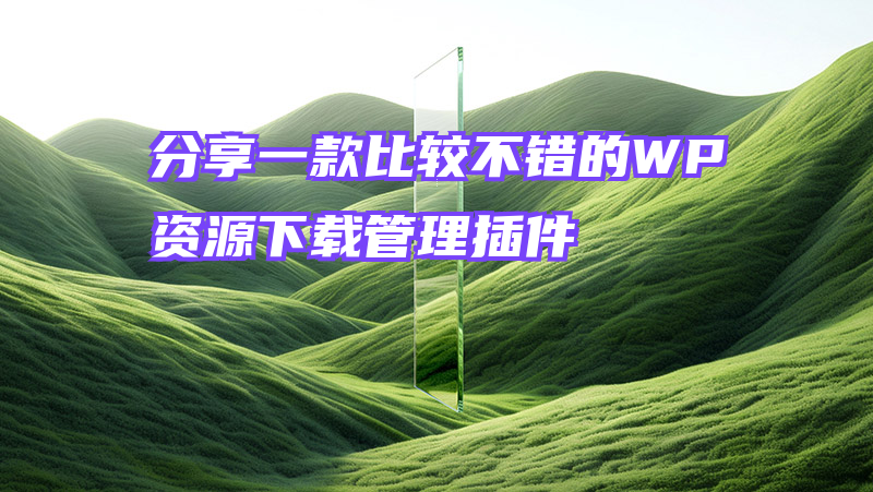 分享一款比较不错的WP资源下载管理插件